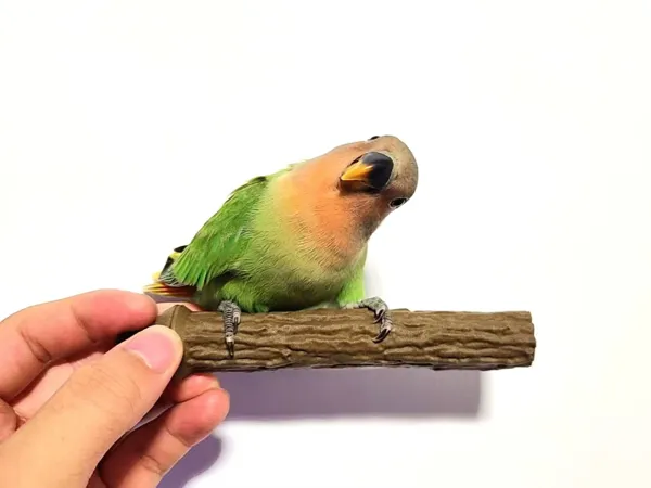https://makerworld.bblmw.com/makerworld/model/USdbdccd54215084/design/2024-09-04_be71ca32b26ba.jpg