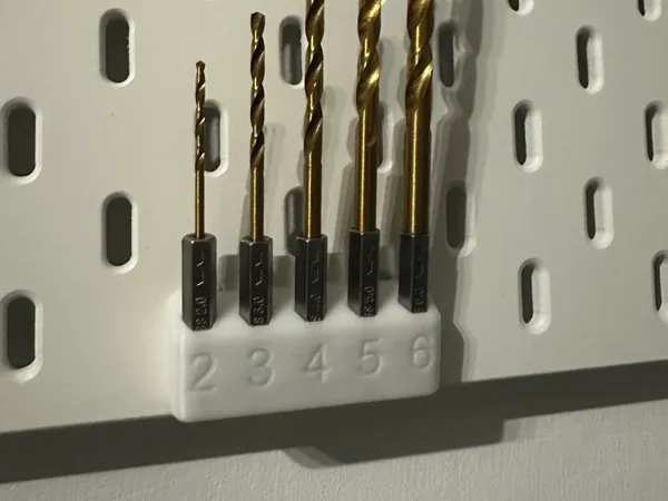 https://makerworld.bblmw.com/makerworld/model/USdbdfa7091662a1/design/2024-11-18_7c41501d38a8.jpg