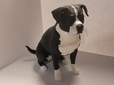 American Stafford