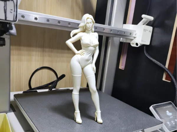 https://makerworld.bblmw.com/makerworld/model/USdbe5de2e439c6d/design/2025-12-15_8e66e0fc7ab93.png