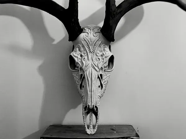 https://makerworld.bblmw.com/makerworld/model/USdbfa376064218/design/2025-12-24_7da8dafe73018.jpg
