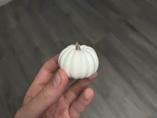 small pumpkin