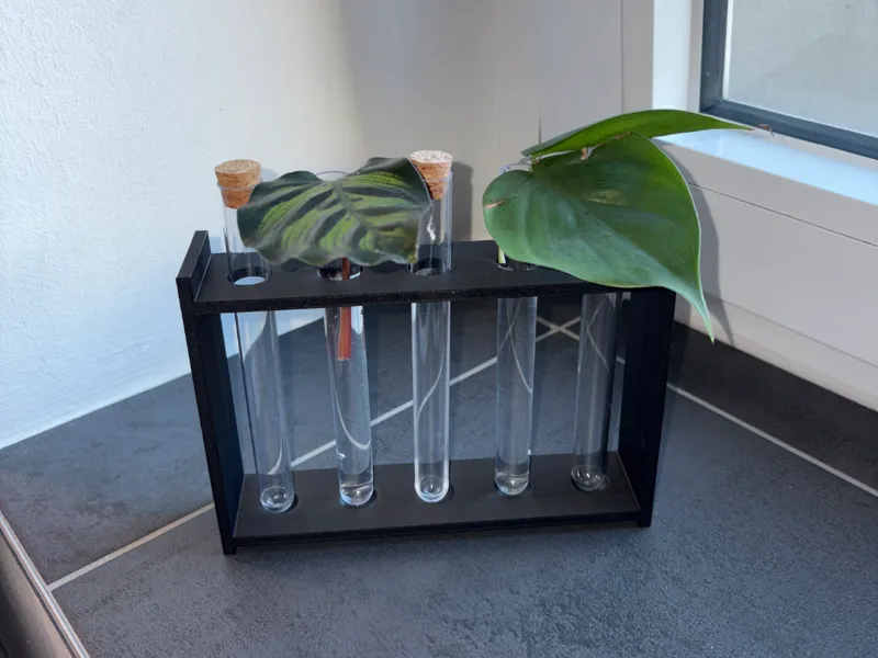 Test Tube Plant Propagation Stand 5x–16/18/20/25mm