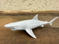 Requin très réaliste — photo 2