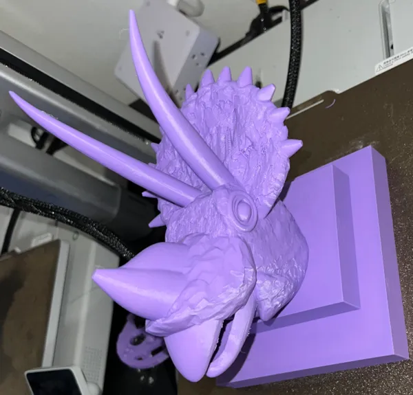 https://makerworld.bblmw.com/makerworld/model/USdc040b80719054/design/2024-12-08_9e862a70351778.jpeg