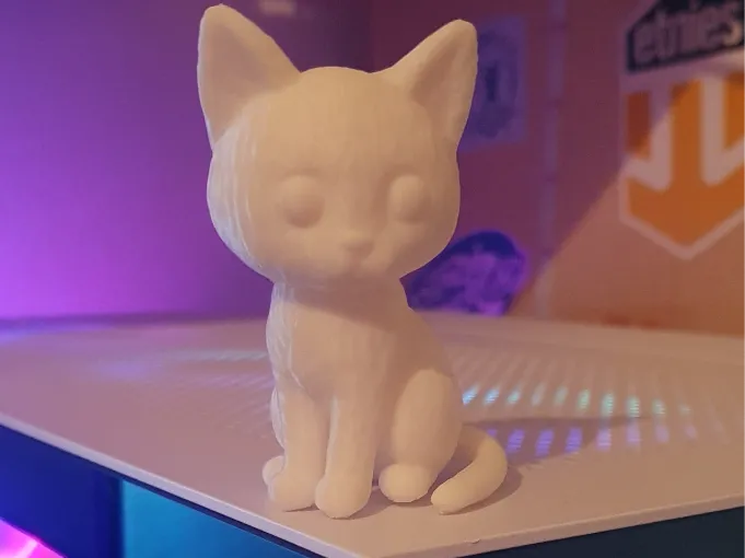 gatto