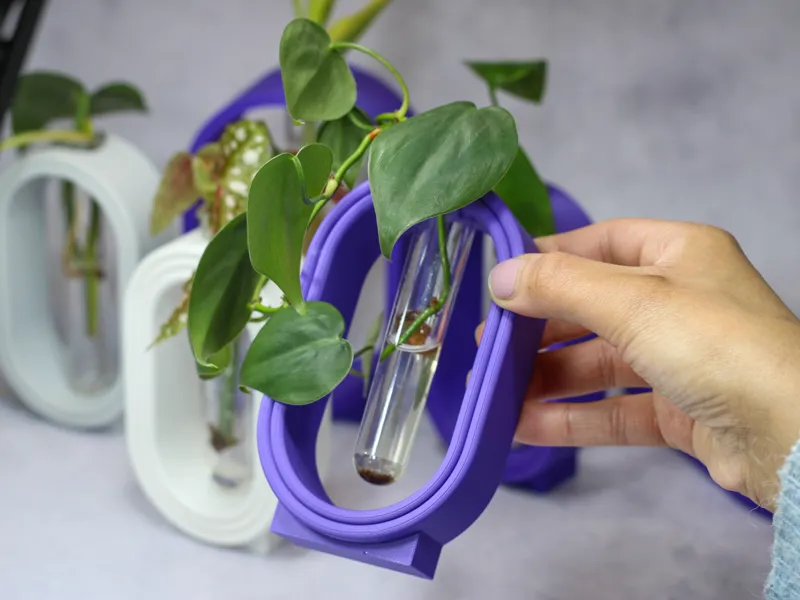 Rounded plant propogation stand