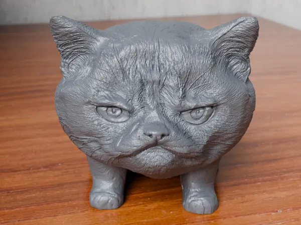 https://makerworld.bblmw.com/makerworld/model/USdc1fac4ab9b761/design/2024-05-18_dbc01ffc98b378.png