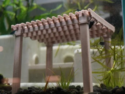 Pergola Aquarium Decoration
