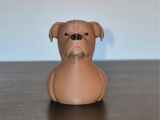 Boxer Duck