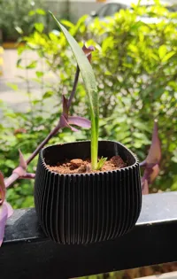 Jardinière Squarecle — photo 3