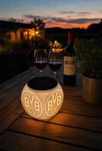 Solar Garten Lampe BVB