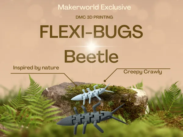 https://makerworld.bblmw.com/makerworld/model/USdc283932091dcf/design/2025-04-04_9fc59caece5ce.png