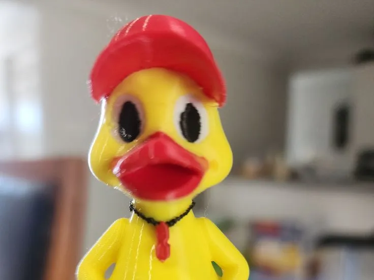Livesaver Duck
