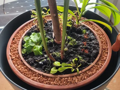 Flowerpot in a pot