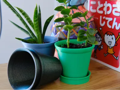 Le Petit Mignon - 3in Planter