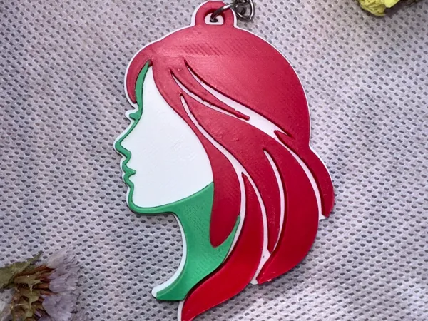 https://makerworld.bblmw.com/makerworld/model/USdc338531075011/design/41a3a392dd2ab09c.jpg