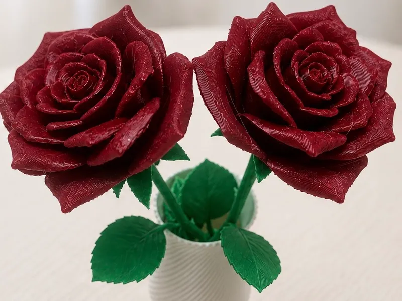 Red Rose