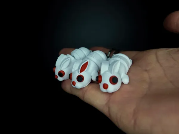 https://makerworld.bblmw.com/makerworld/model/USdc3b2ba1886461/design/2025-03-26_36876992891208.jpeg