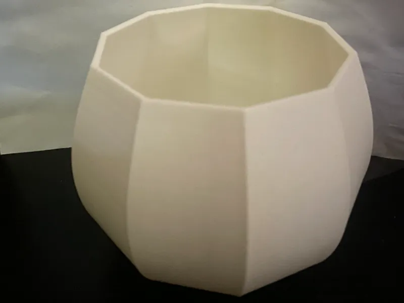 succulents pot