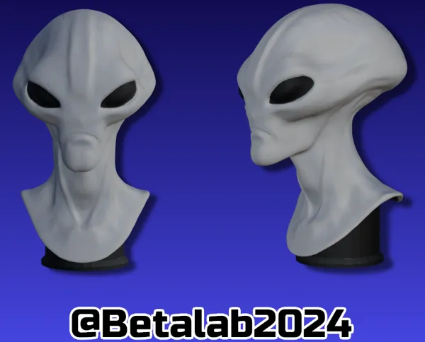 https://makerworld.bblmw.com/makerworld/model/USdc41bc3621b168/design/2024-07-17_42614b19bbf49.png