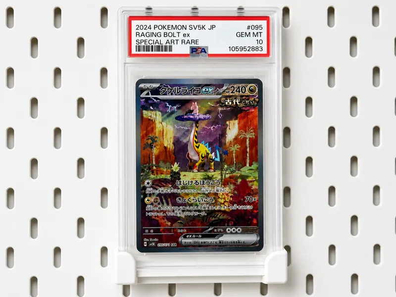 PSA Card Holder for IKEA SKADIS