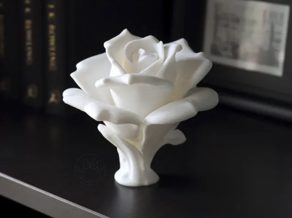 https://makerworld.bblmw.com/makerworld/model/USdc48da74336fe5/design/2025-05-17_d0fdc3ca36152.jpg