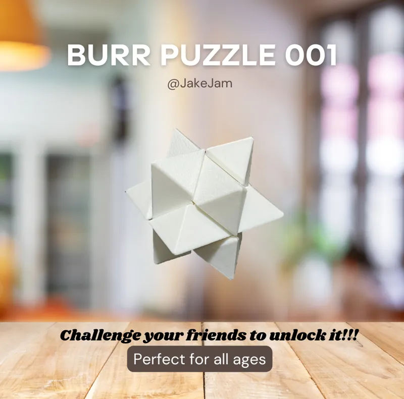 BurrPuzzle 001_Octagon Lock
