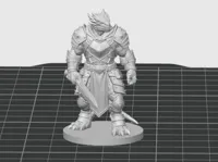 50mm, 0.08mm layer, 2 walls, 10% infill