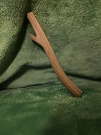 STICK OF TRUTH-0.2mm layer, 2 walls, 15% infill