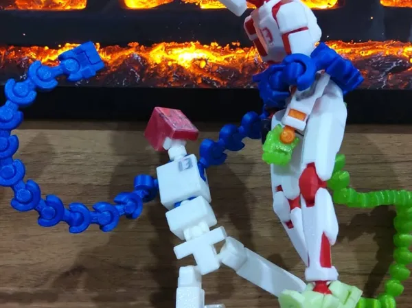 https://makerworld.bblmw.com/makerworld/model/USdc5ce8ef3e956a/design/41fdb293dcf2c327.jpeg