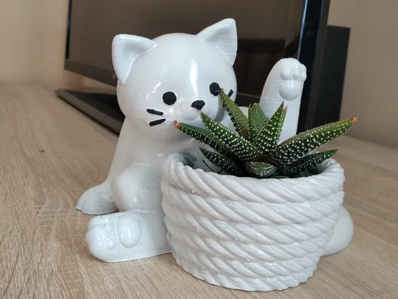 Cat Plant
