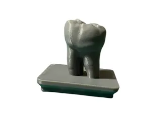 1x1 Gridfinity Molar Tooth