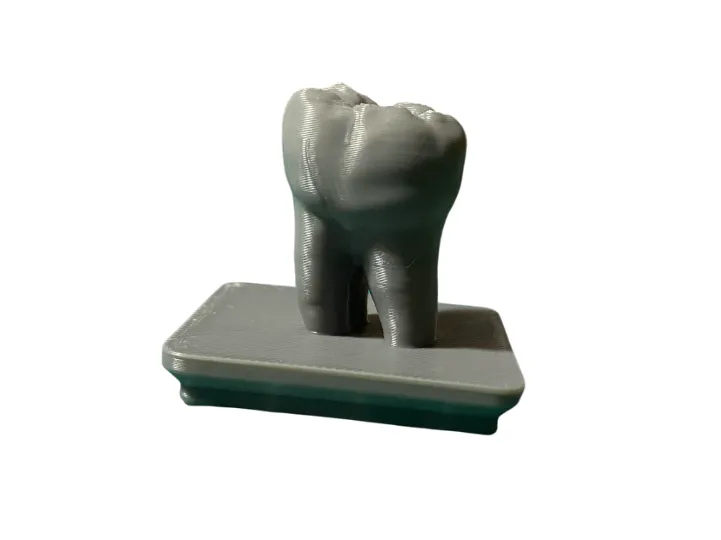 1x1 Gridfinity Molar Tooth