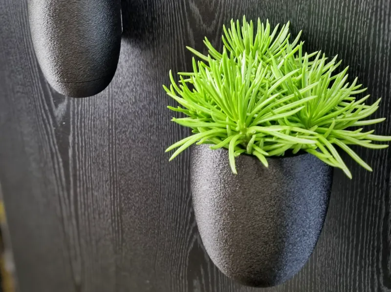 Wall planter or pole planter