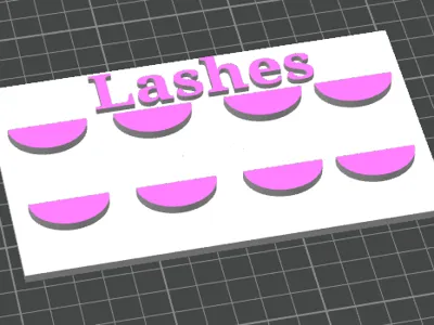 Lash holder tray