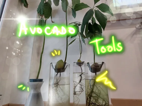 https://makerworld.bblmw.com/makerworld/model/USdc668b0097018b/design/2023-12-28_4349fc4dec7e7.jpg