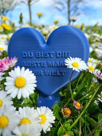 Cœur cadeau pour la fête des mères — photo 1