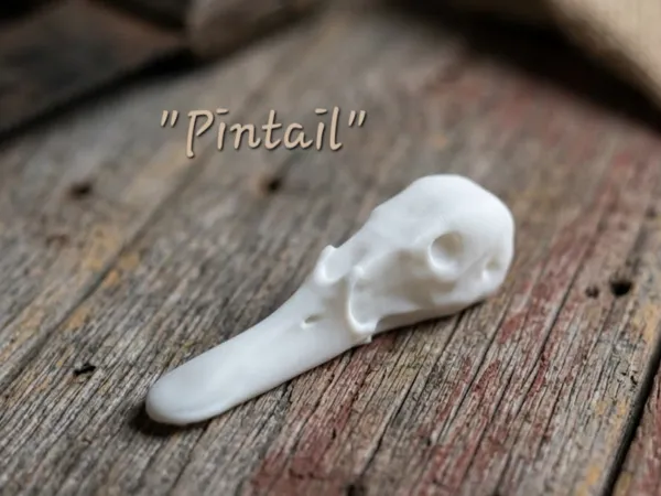 https://makerworld.bblmw.com/makerworld/model/USdc6be00abfd5fc/design/31ae75359bb2d143.png