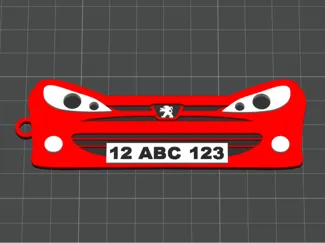 Peugeot 206 anahtarlık plakalı özelleştirilebilir