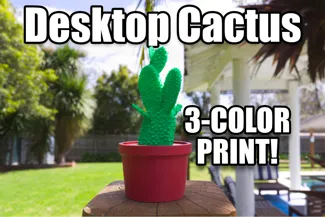 Desktop Cactus Plant, 3-Color print, House Decor
