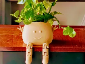 https://makerworld.bblmw.com/makerworld/model/USdc774638071a78/design/2025-01-01_1f337ddca0661.png