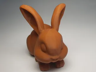 Baby Bunny