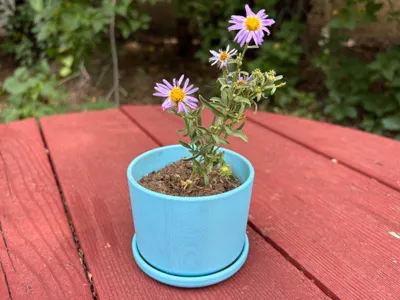 Simple Flower Pot with Attached Drainage Tray