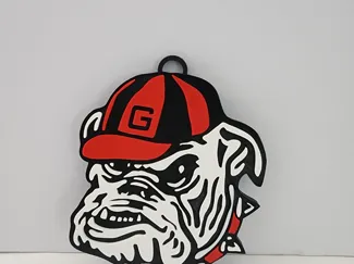 Georgia Bulldogs