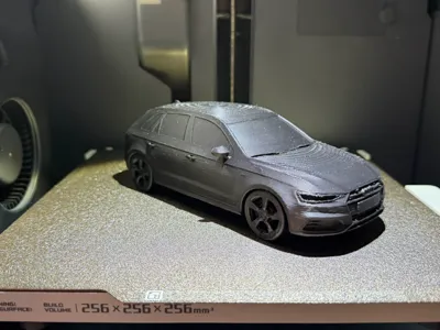 Audi A3 RS3 Model Black Edition