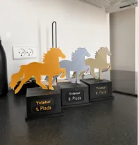 Trophée carré avec plaque nominative — photo 4