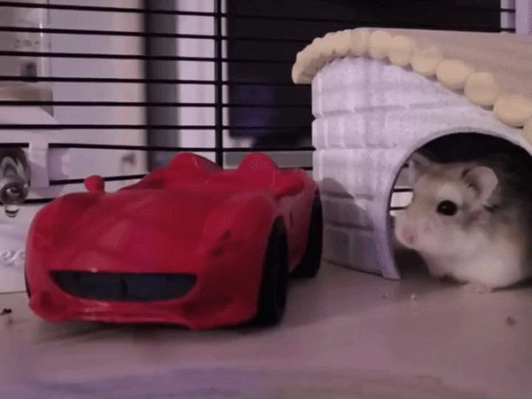 Hamster Bowl - Ferrari Monza SP2 (2 size)