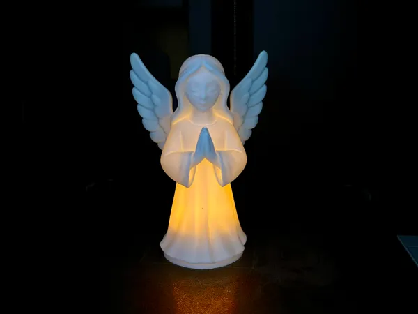 https://makerworld.bblmw.com/makerworld/model/USdc9a1558d2a030/design/2025-08-29_fd95c9cb8bb58.jpeg