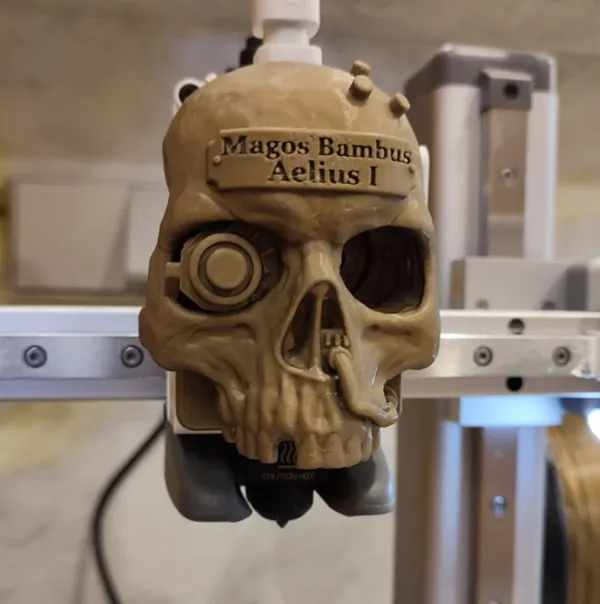 https://makerworld.bblmw.com/makerworld/model/USdca1e9b3701a6/design/2025-01-03_d51e36fabf1ab.jpeg